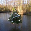 kerstboom