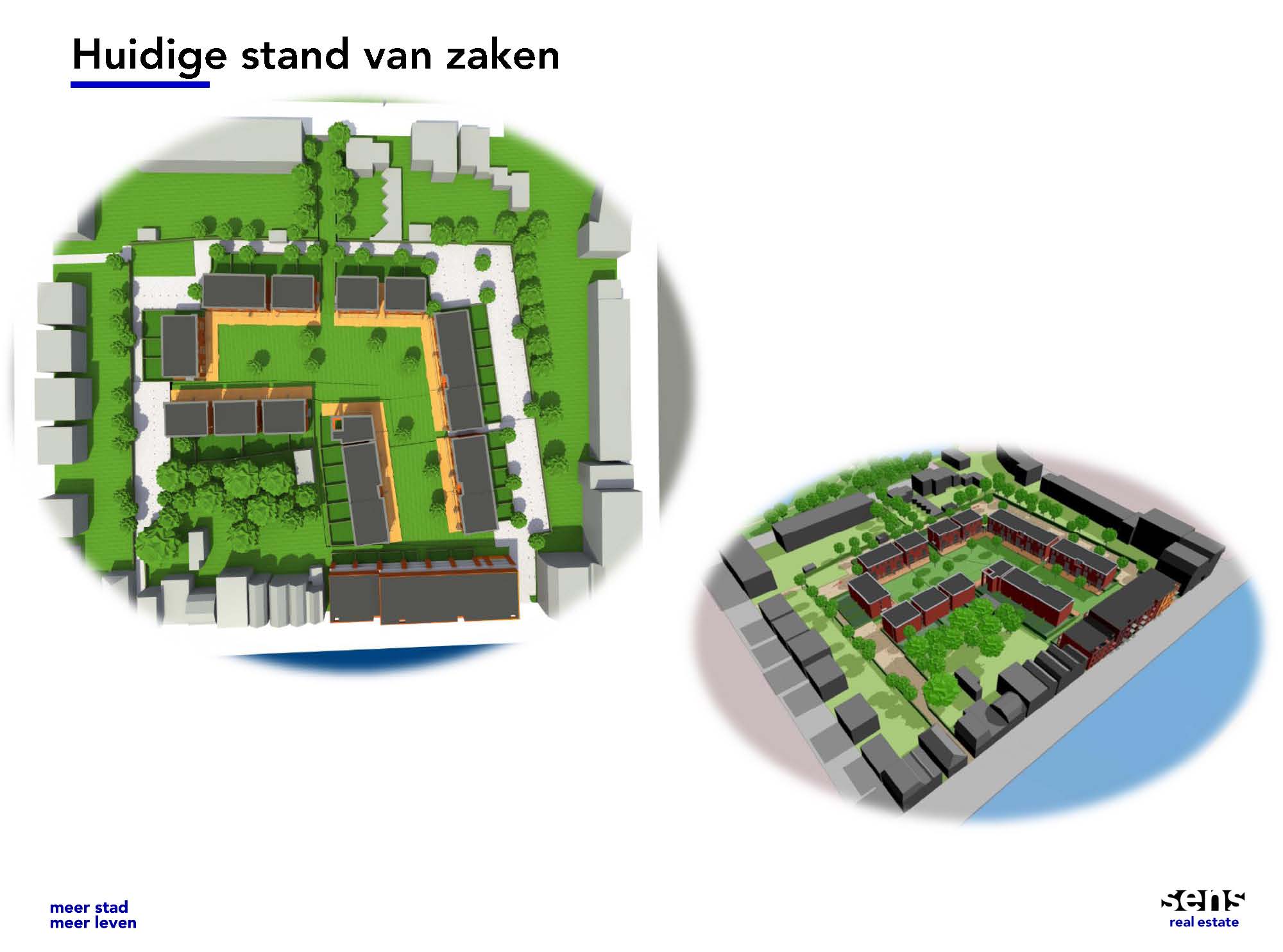 De Blaauwe Haan februari 1