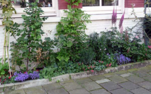 geveltuin